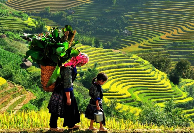 Dân Tộc Vùng Tây Bắc – Đa Sắc Màu Văn Hóa Giữa Núi Rừng Việt Nam